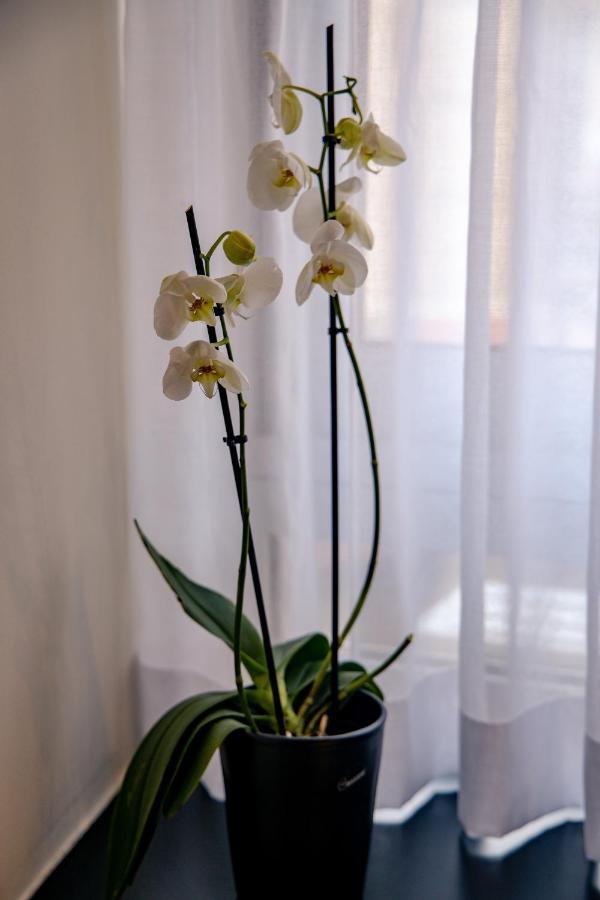 Triple A - Prime Location - Between Monastiraki & Syntagma Square-Free Parking! Афины Экстерьер фото